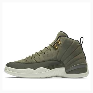 Air Jordan 12 Nike Retro Chris Paul - Class of 2003 Tênis de Basquete Masculino Verdes | JD-178NF