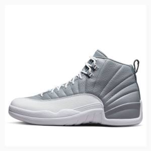 Air Jordan 12 Nike Retro Stealth Tênis de Basquete Masculino Cinzentas | JD-025SN