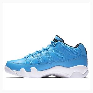 Air Jordan 9 Nike Retro Low Pantone Tênis Masculino Azuis | JD-025FI