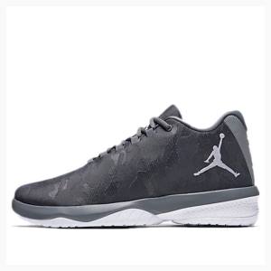 Air Jordan Nike B.Fly X Tênis de Basquete Masculino Cinzentas | JD-784ZB