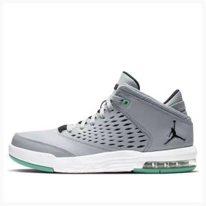 Air Jordan Nike Flight Origin 4 Tênis de Basquete Masculino Cinzentas Verdes | JD-079LS